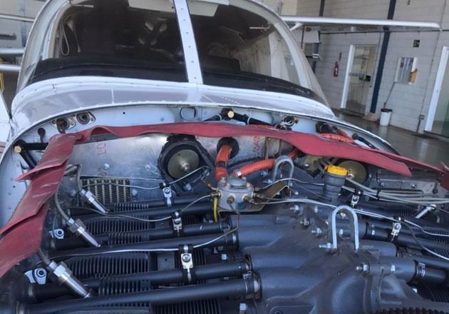 WhatsApp Image 2026-02-12 at 08.21.52 (4)